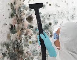 Best Mold Odor Removal Services  in Las Quintas Fronterizas, TX